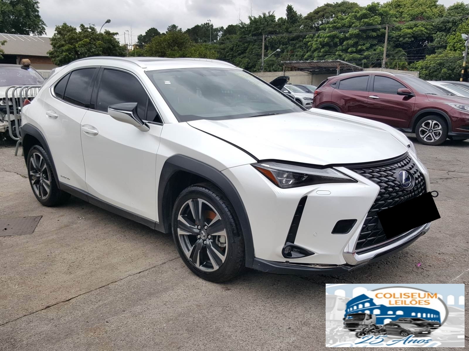 LEXUS UX 250H LUXURY 2.0 16V VV 2019